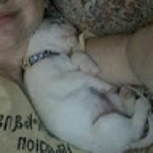 Meet your Posher, Alexa